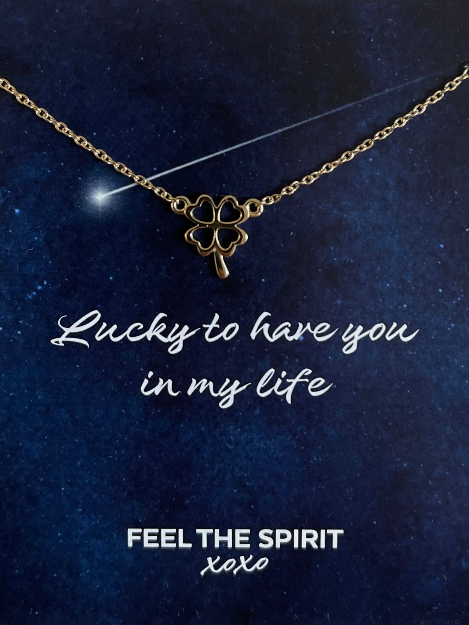 Ketting Klavertje Vier Goudkleur XN002G